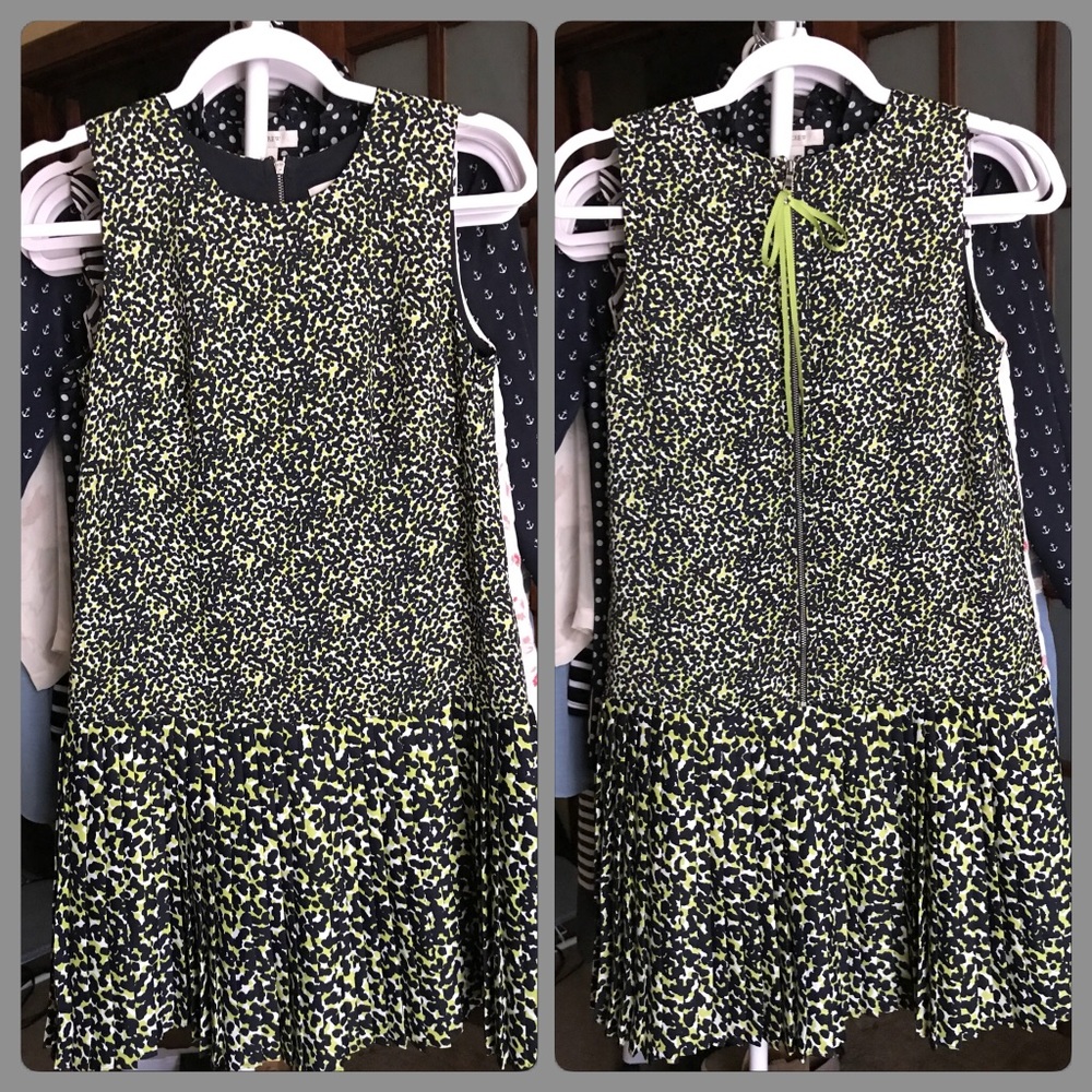 LOFT Drop Waist Dress